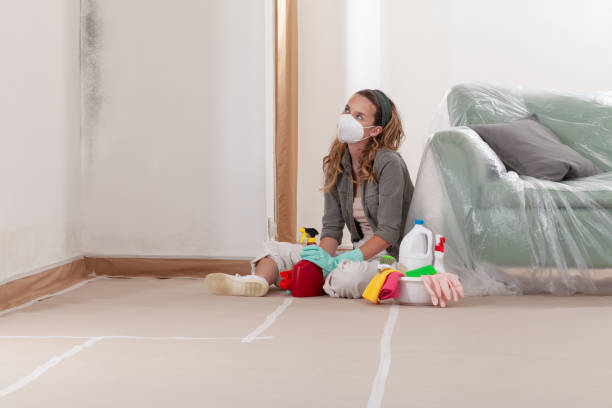 Reliable Mold Remediation contractor in Bowie, TX by Mold Remediation HQ